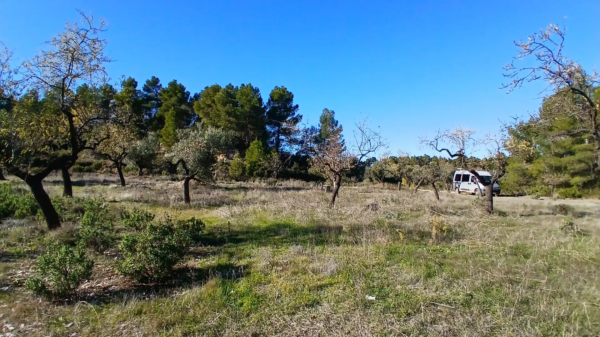 Terreno rustico in vendita a Calle Tremedal 13, imagen 7