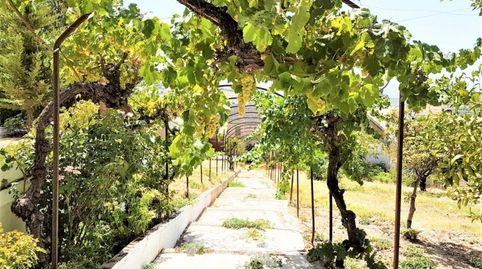 Se vende Finca, Rute, Córdoba, imatge 3