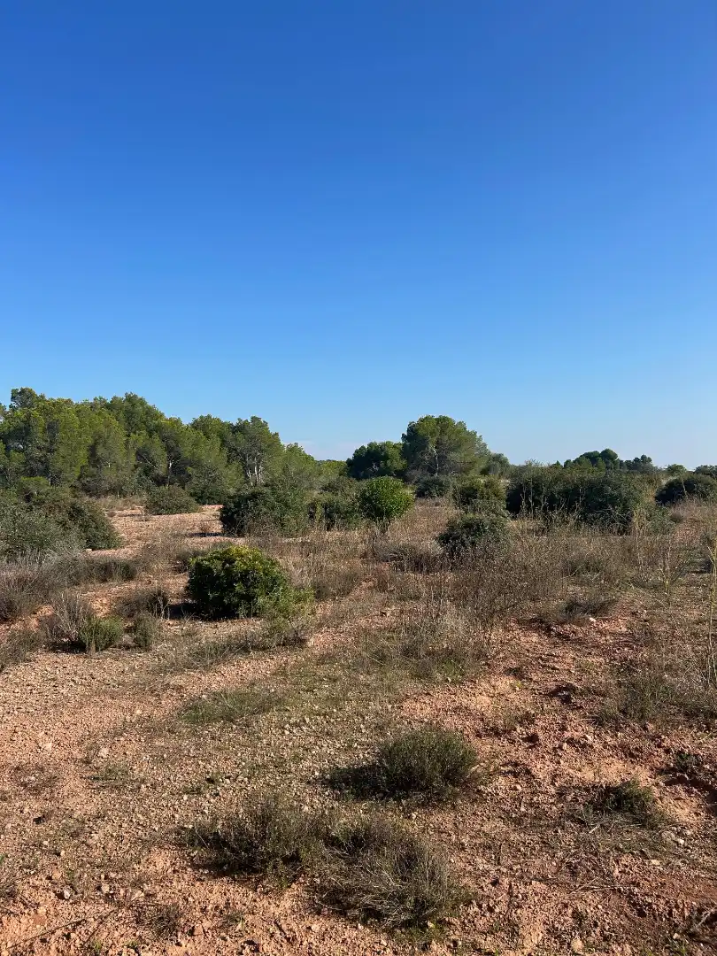 Terreno rustico in vendita a Plaça Poligono N-05.R, imagen 7