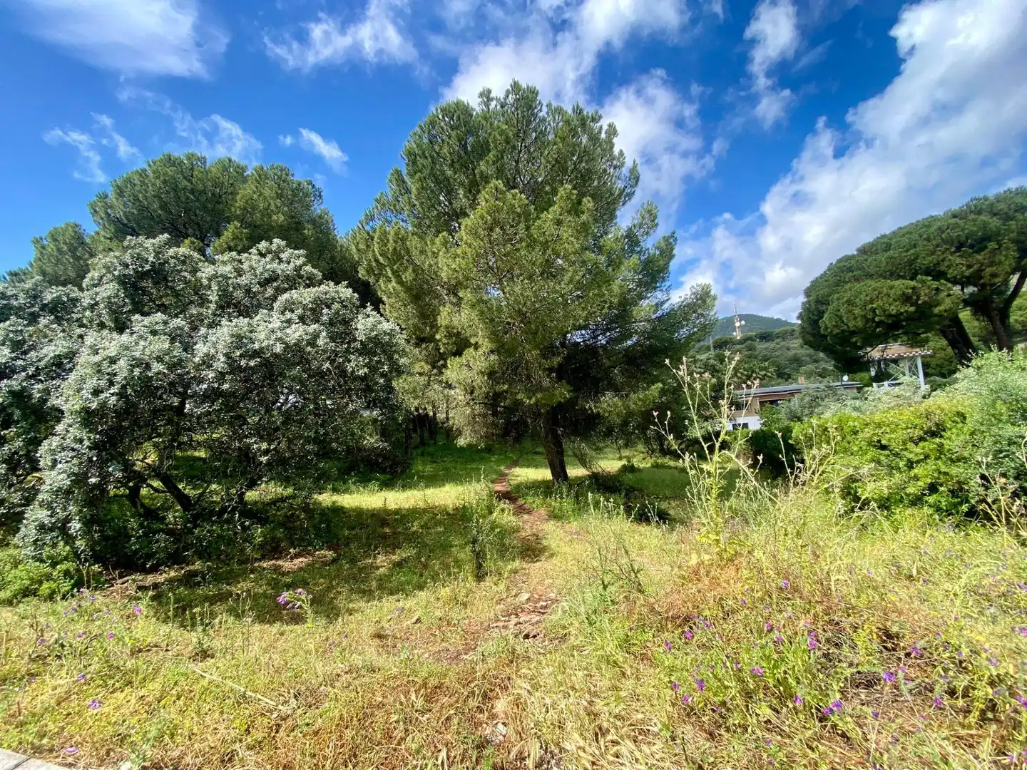 Residential land for sale in Periurbano Norte, imagen 4