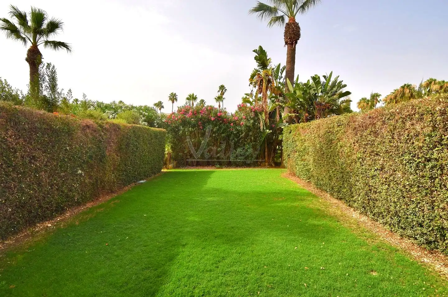 Apartments for rent in Ramiro El Monje, Sotogrande Costa