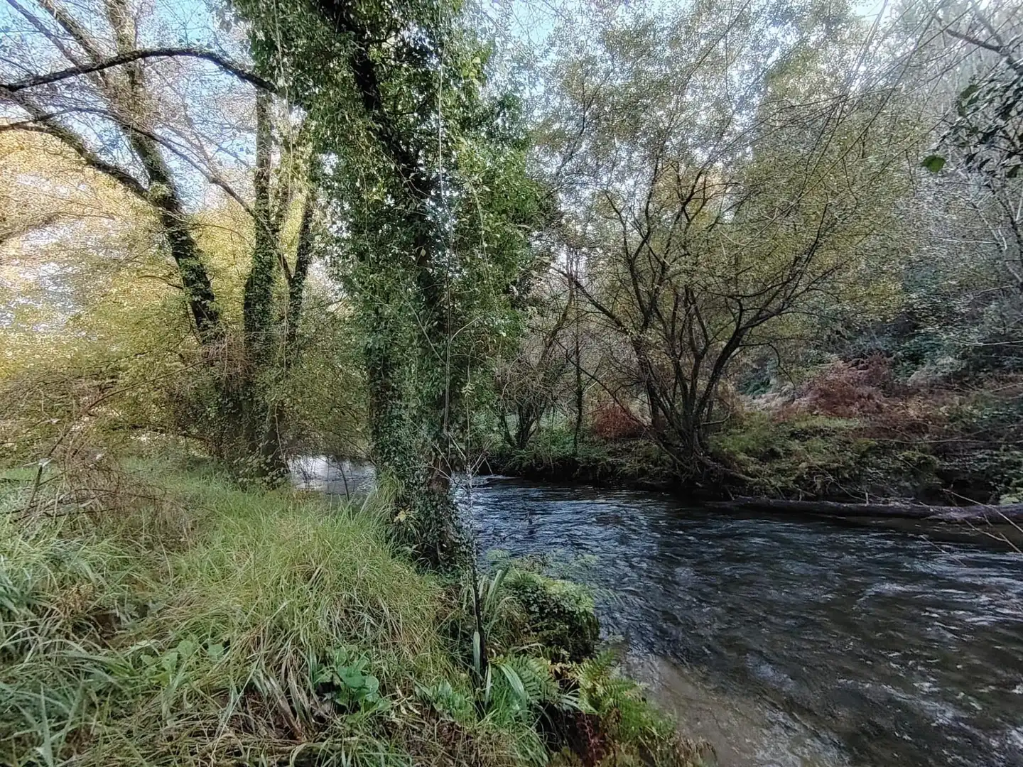 Country homes for sale in Negreira