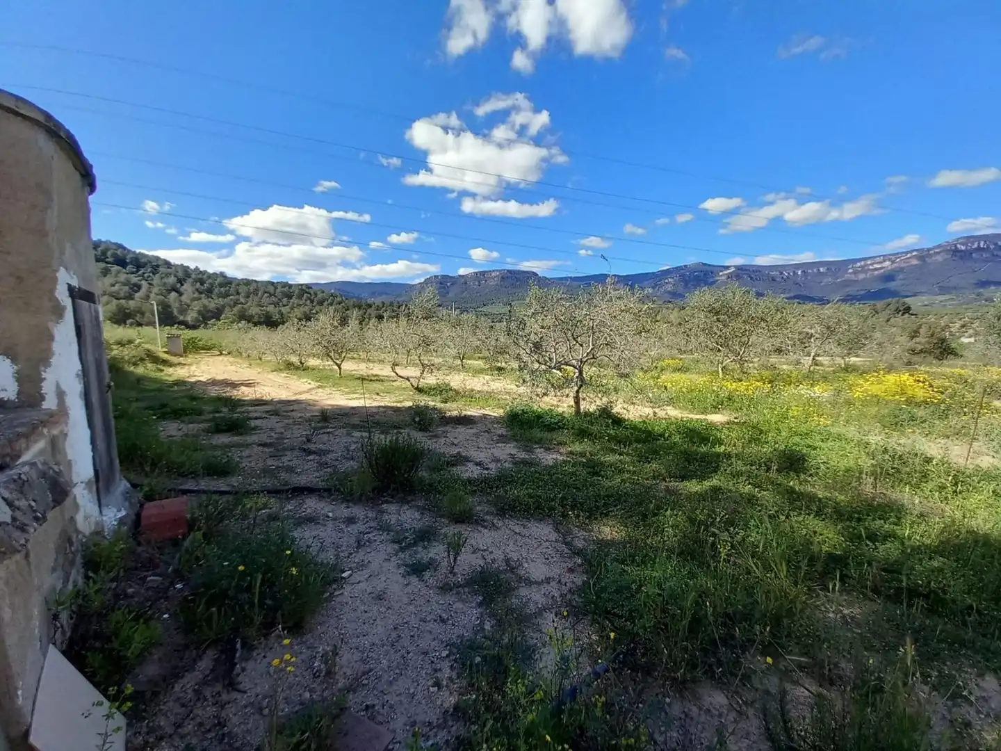 Terreny residencial en venda a T-704, imagen 5