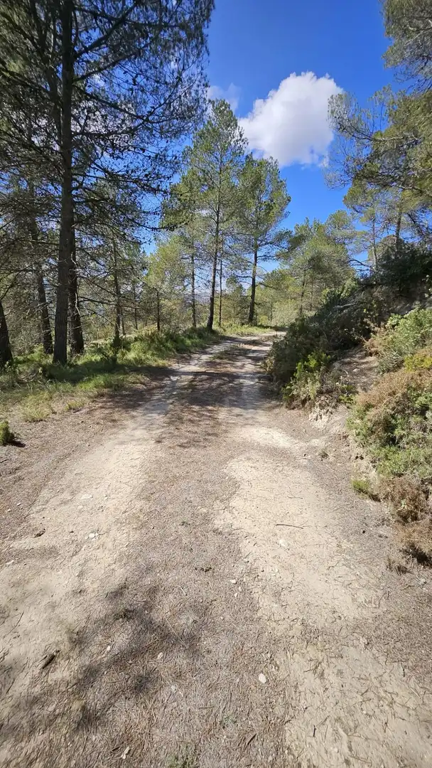 Terrain rustique à vendre à Millena, imagen 21