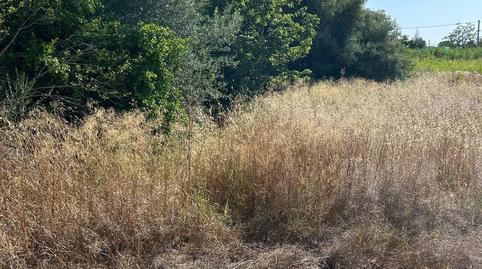 Foto 3 de Residencial en venda a Avenida de la Libertad, San Miguel,  Murcia Capital