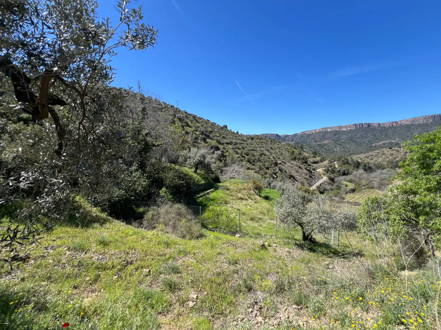Rural land for sale in Gratallops, imagen 11