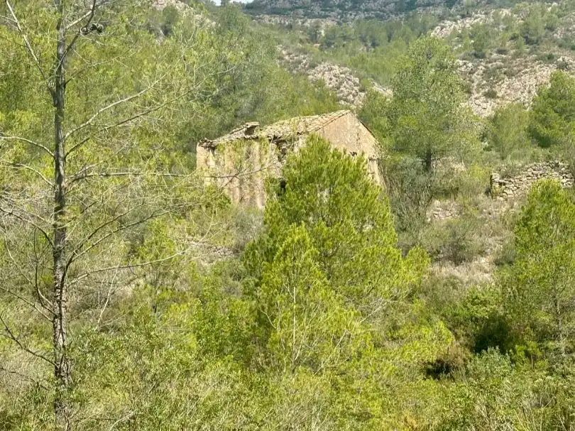 Vista exterior de Terreno en venta en Tivissa