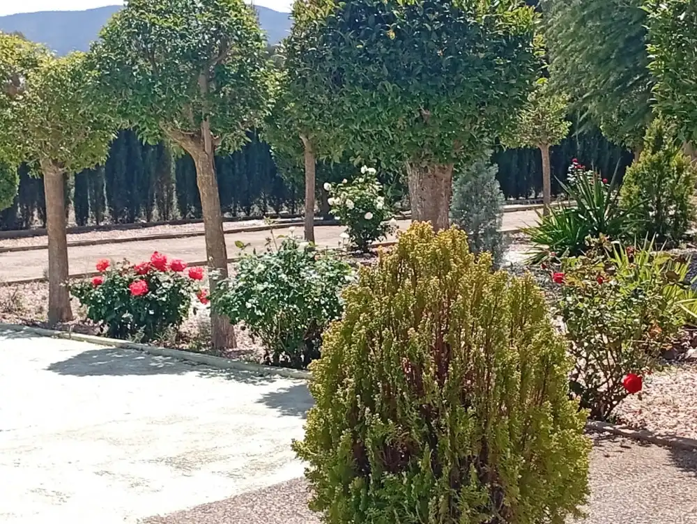 Jardín de Piso en venta en Salinas