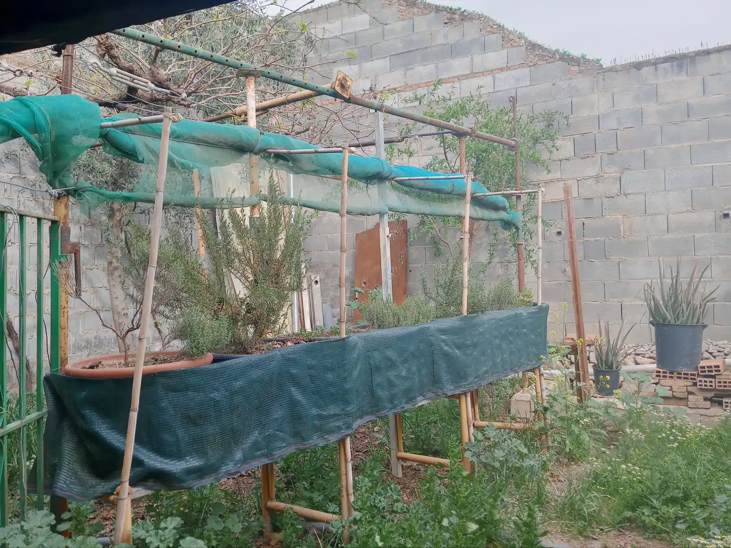 Casa en venda a Pinos Puente, imagen 12