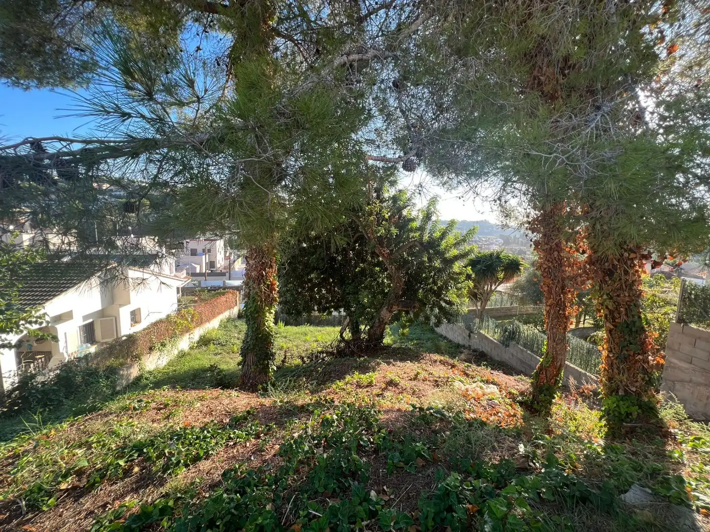Terreno residencial en venta en Mas Trader - Corral d'En Tort - Corral d'En Cona, imagen 6