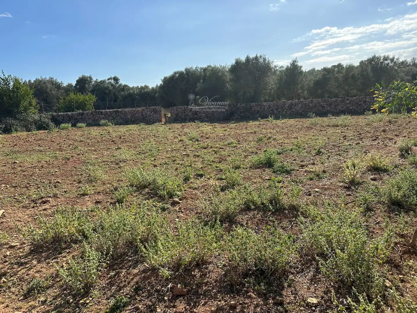 Chalet en venta en Algaida, imagen 39