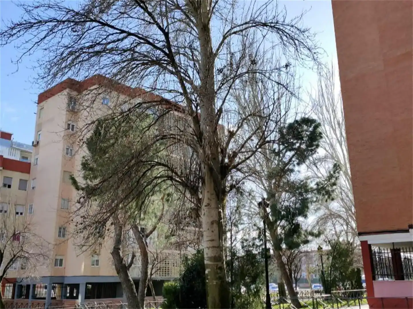 Jardí de Pis en venda en Humanes de Madrid