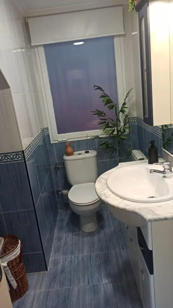 Detached house for sale in Calle José Corbin Carbó, imagen 11