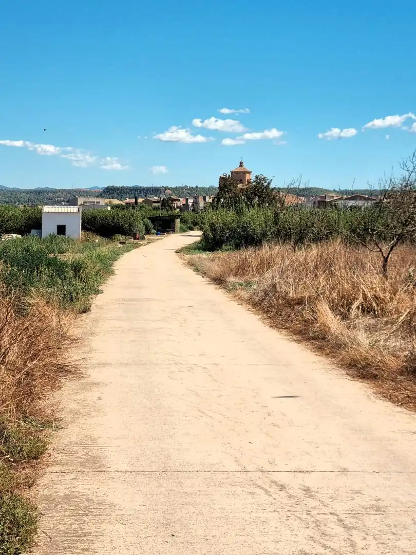 Lands and plots for sale in poligono 17 parcela 32, imagen 25