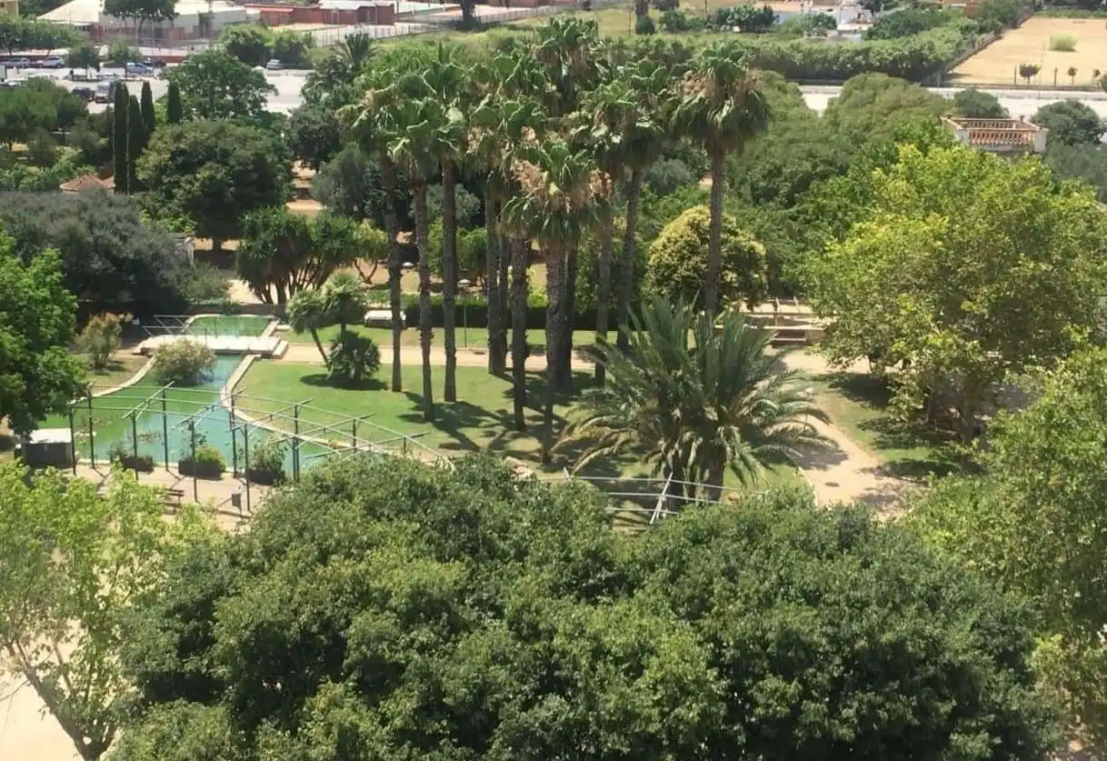 Piscina de Ático en venta en Las Marinas / Les Marines