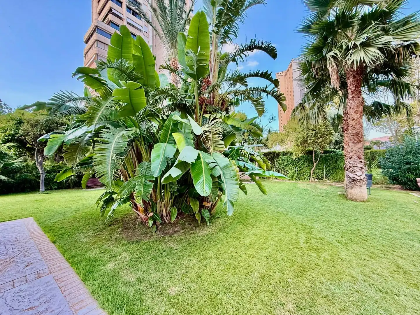 Apartament amb piscina en venda a Levante Alto, imagen 28
