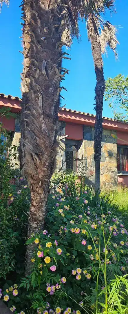 Vista exterior de Casa o xalet en venda en Vilallonga del Camp amb Jardí privat, Parquet i Traster