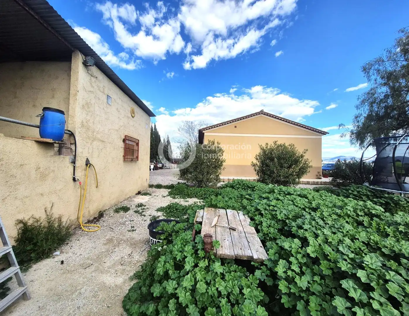 Finca rústica en venta en Lorca con Jardín privado