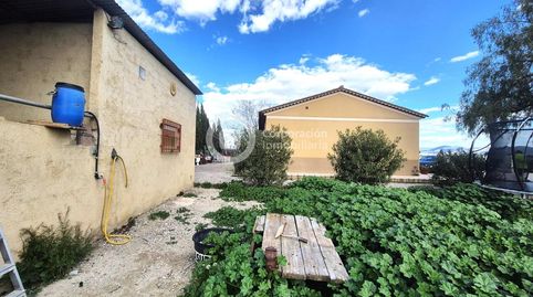 Foto 5 de Finca rústica en venta en Campillo, Lorca