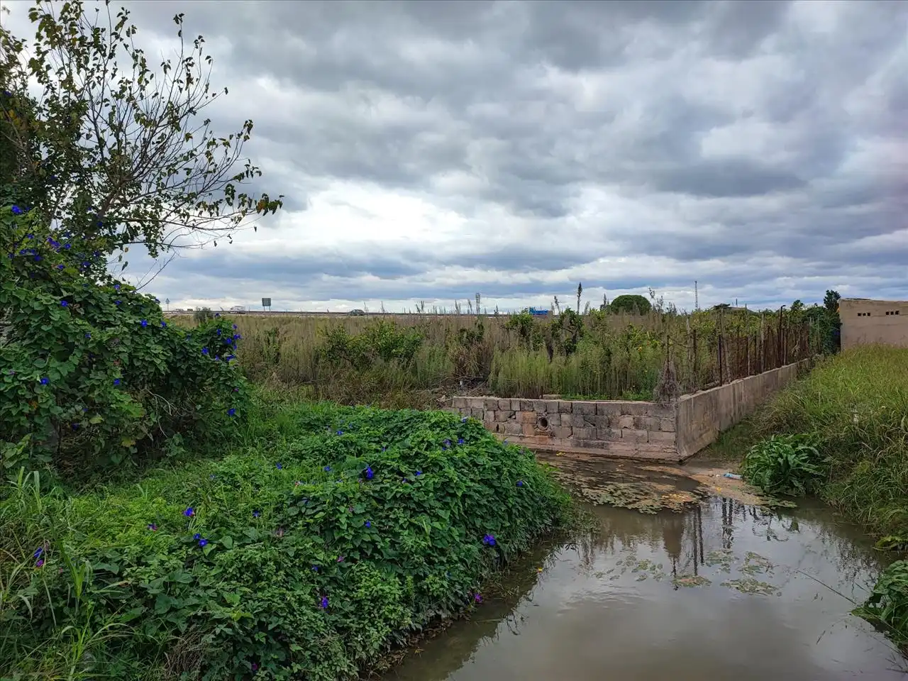 Rural land for sale in Polígono Número 40, Sueca, Spain, imagen 5