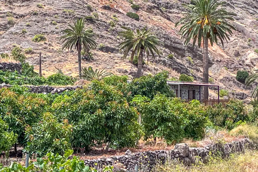 Vista exterior de Finca rústica en venda en Vallehermoso amb Terrassa
