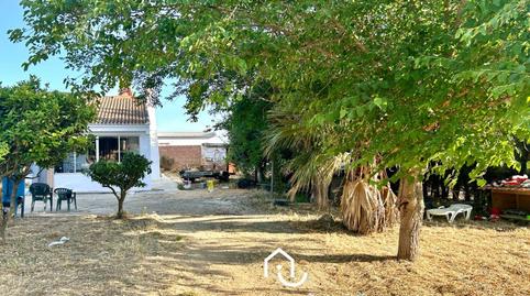 Foto 4 de Finca rústica en venda a San Juan del Puerto, Huelva