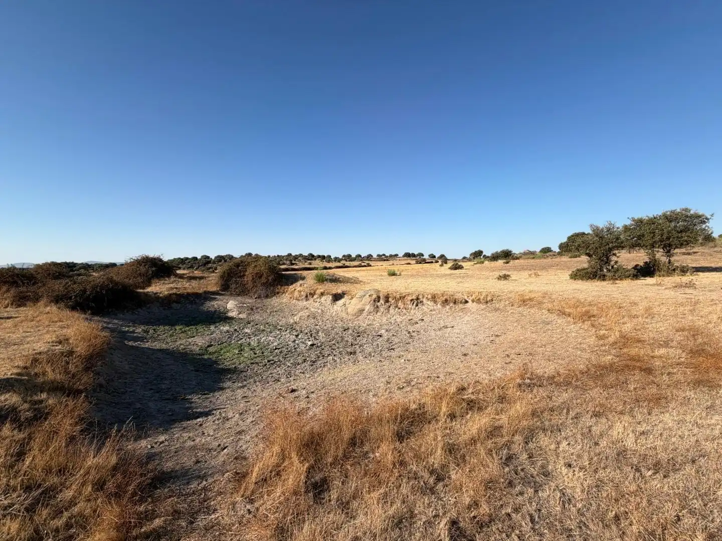 Terreno rustico in vendita a Malpartida de Cáceres, imagen 2