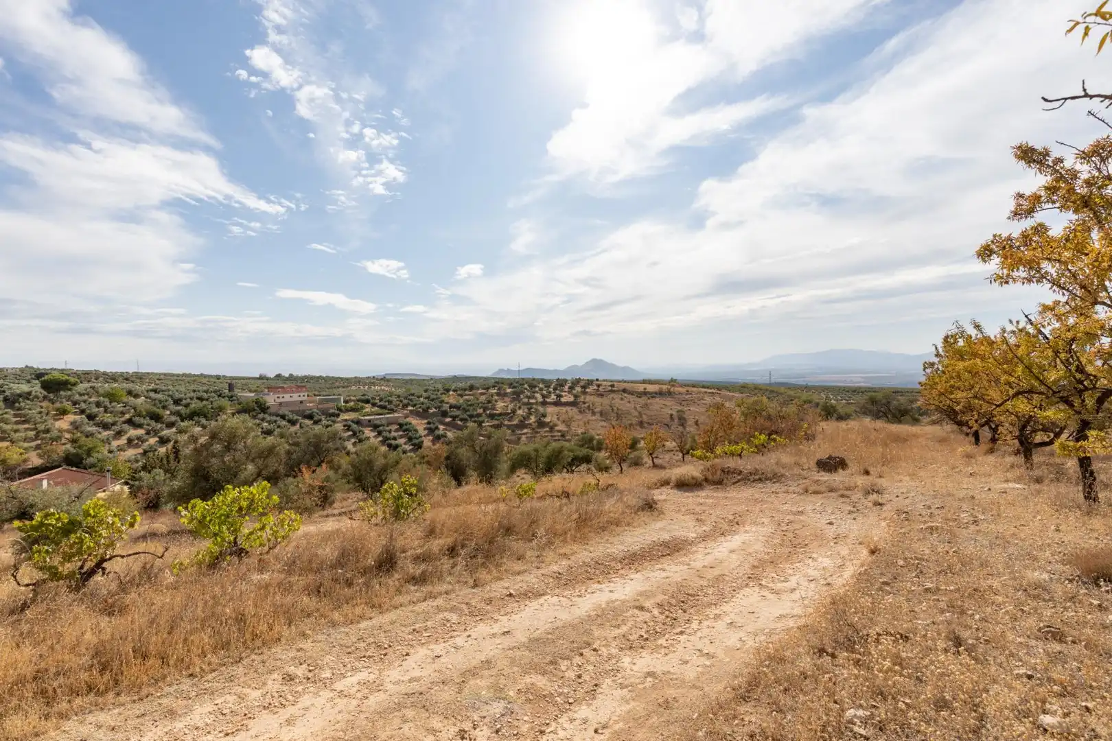 Finca rústica en venta en Cogollos de la Vega con Jardín privado y Piscina
