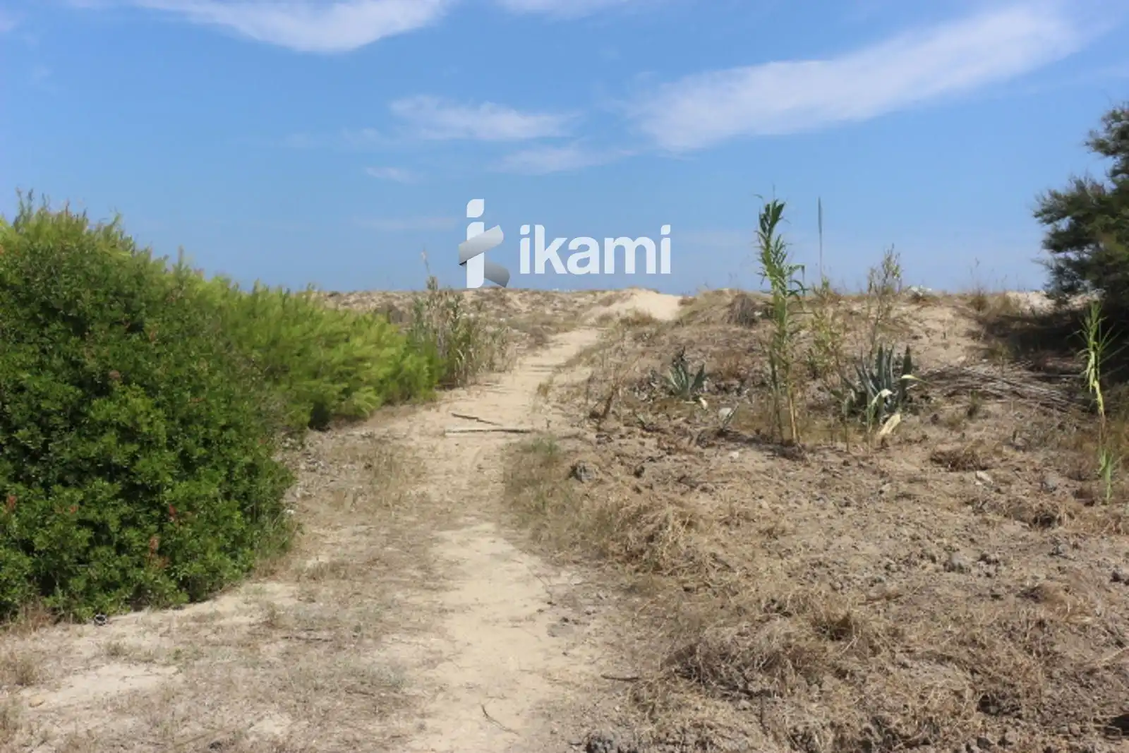 Houses for sale in Oliva Playa