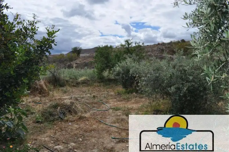 Villa in vendita a Cantoria, imagen 37