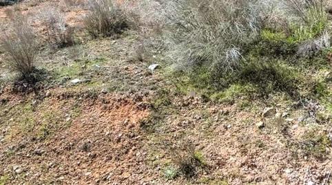 Photo 2 of Residential for sale in Copernal, Guadalajara