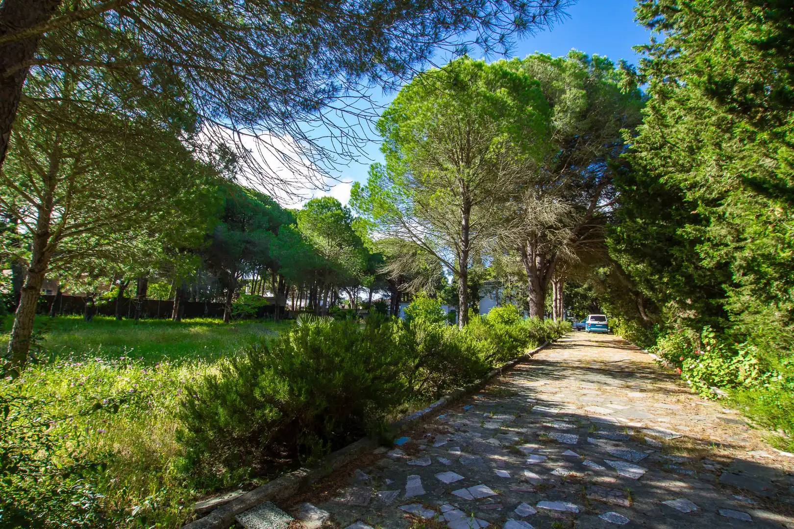 Vista exterior de Casa o xalet en venda en Chiclana de la Frontera amb Moblat