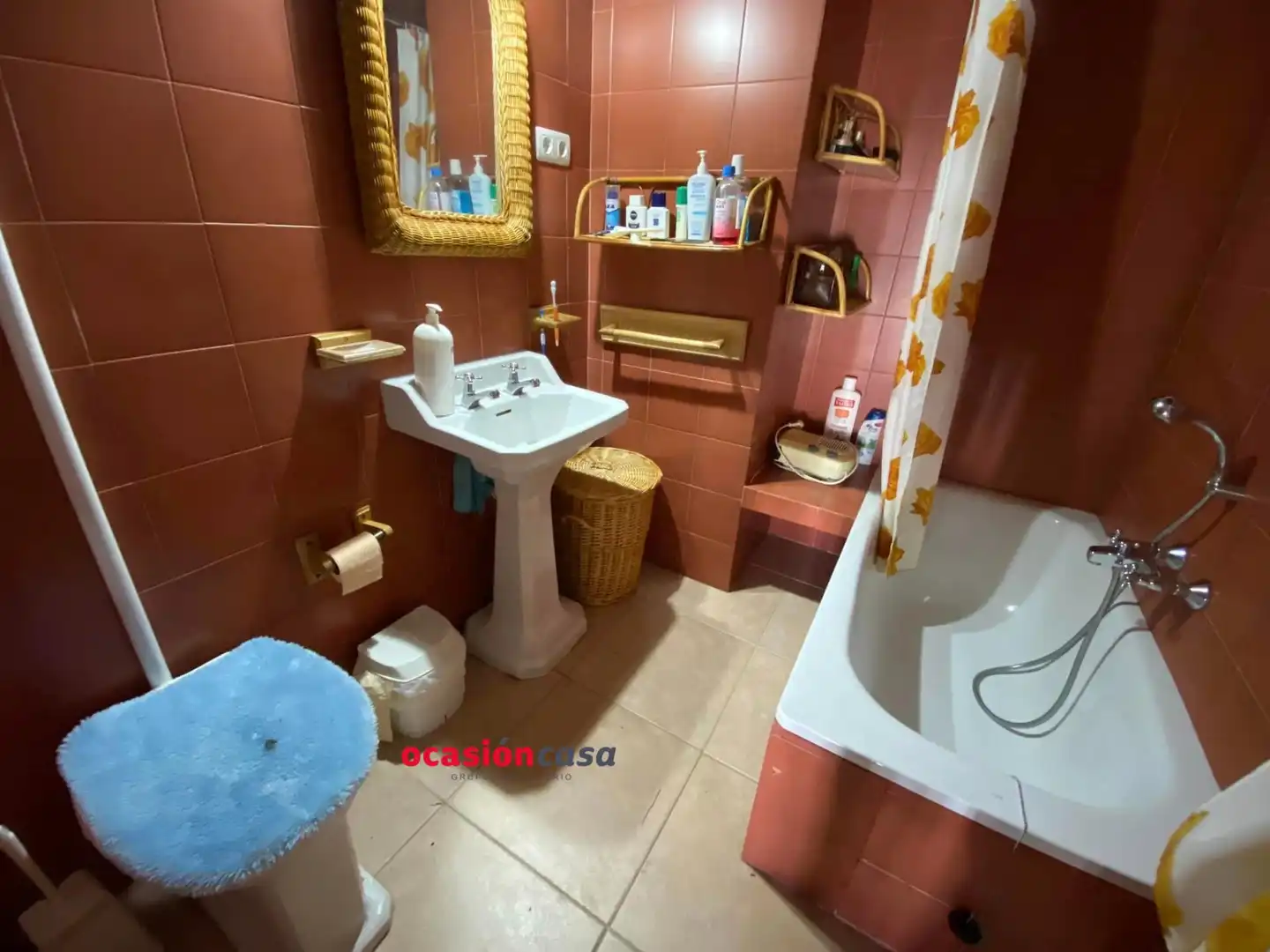 Casa con jardín en venta en Fuente Obejuna, imagen 44