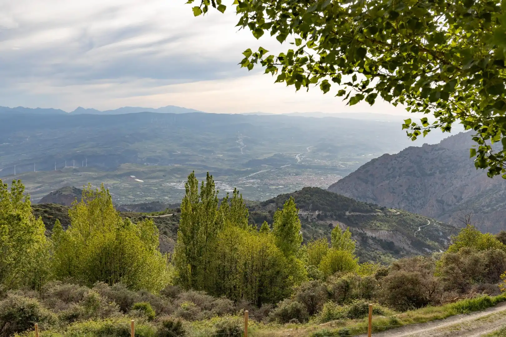 Vista exterior de Finca rústica en venta en Nigüelas con Amueblado