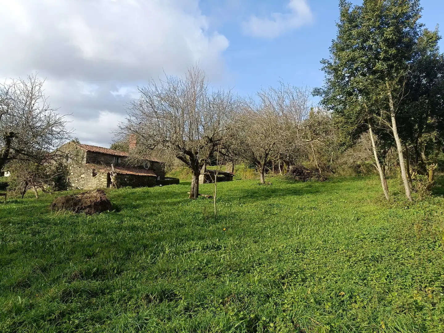 Casa o xalet en venda en Cesuras amb Jardí privat