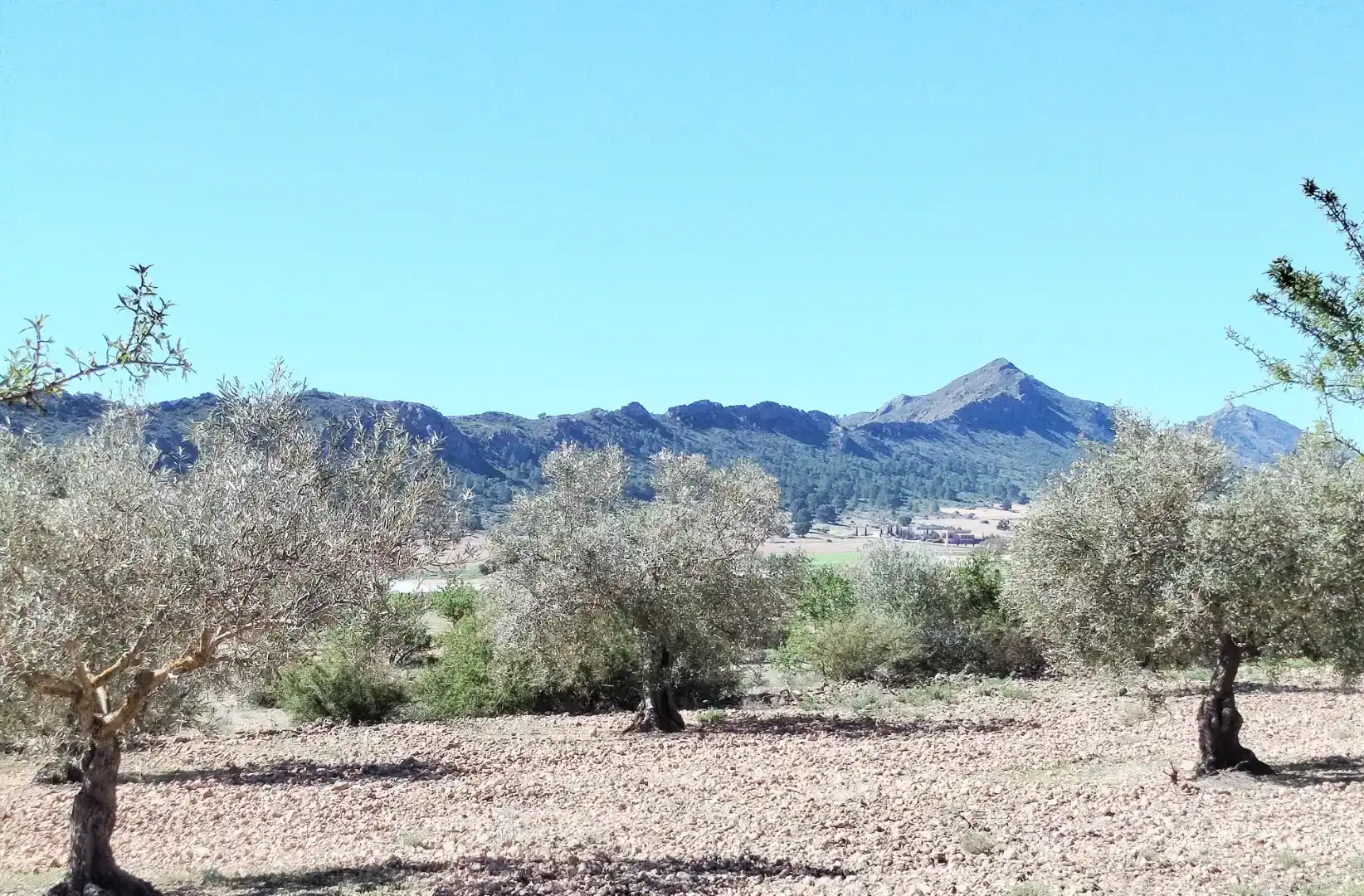 Finca rústica en venta en Caudete con Aire acondicionado y Piscina