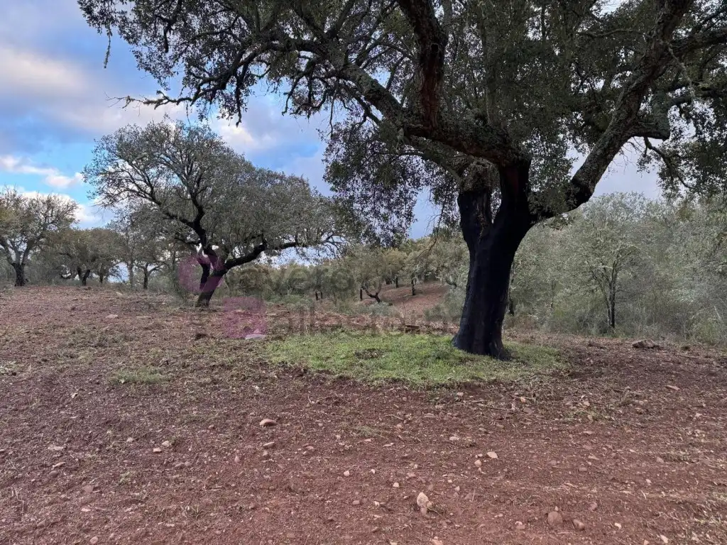 Casa o xalet en venda a Calle Cuesta de Artesanos, Valdesalor - Rincón de Ballesteros