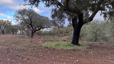 Foto 5 de Casa o xalet en venda a N/a, Valdesalor - Rincón de Ballesteros, Cáceres Capital