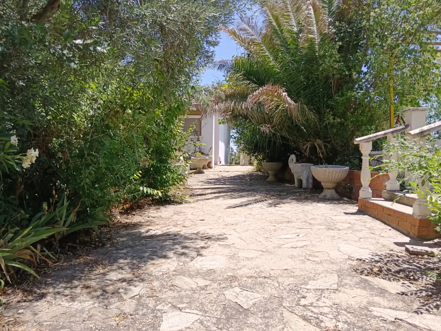 Jardí de Casa o xalet en venda en Illana amb Jardí privat, Terrassa i Piscina