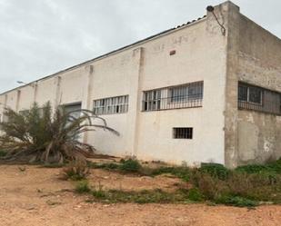 Exterior view of Industrial buildings for sale in Camarles
