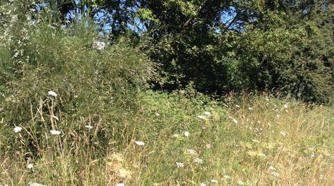 Foto 3 de Terreno en venta en Casco Histórico, Santiago de Compostela