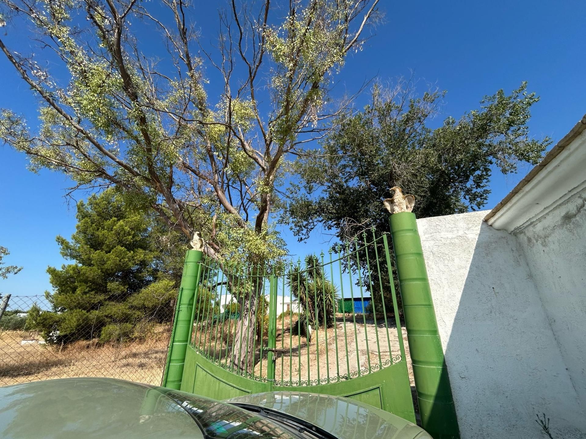 Houses for sale in Marchena