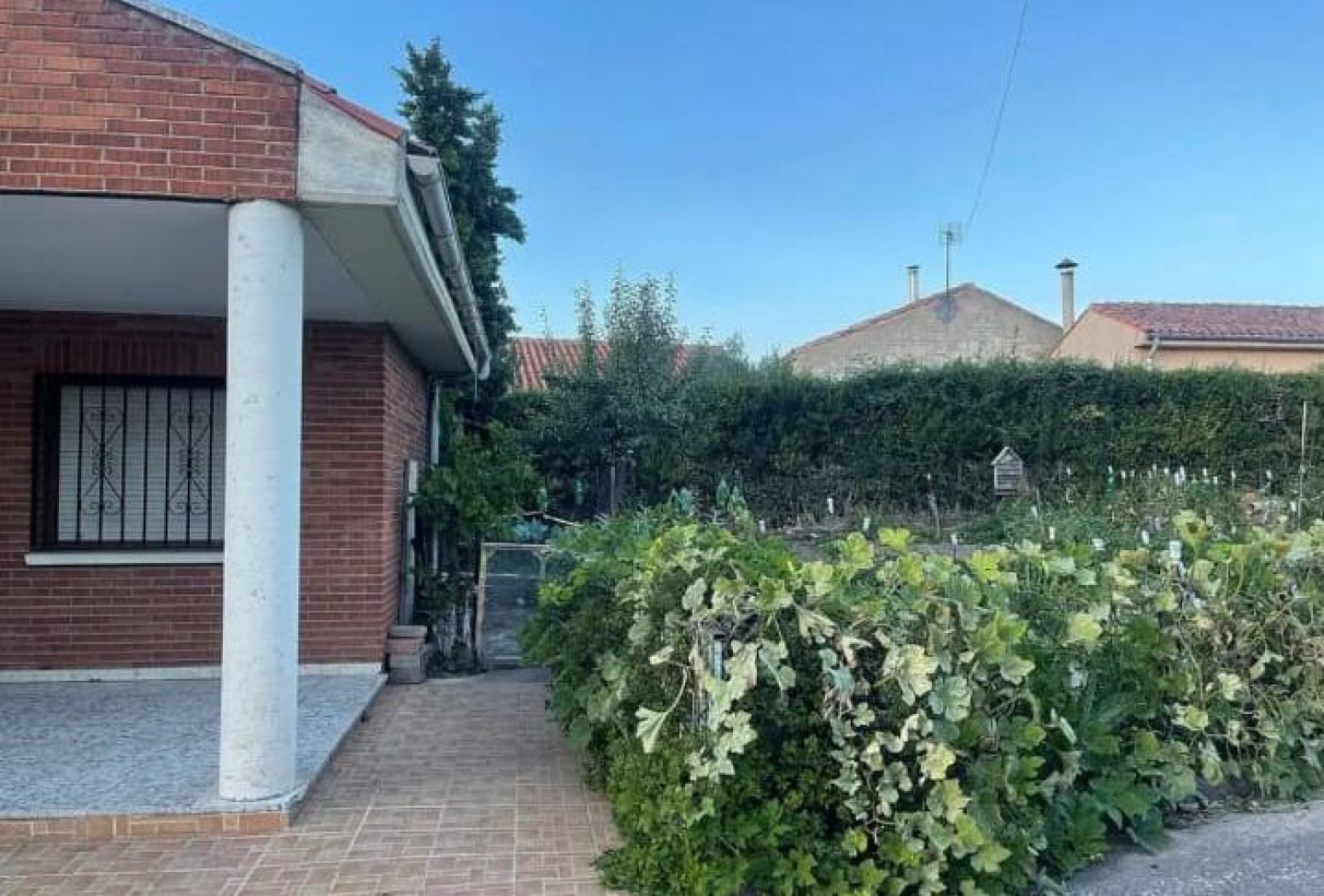 Exterior view of House or chalet for sale in San Torcuato  with Heating, Private garden and Storage room