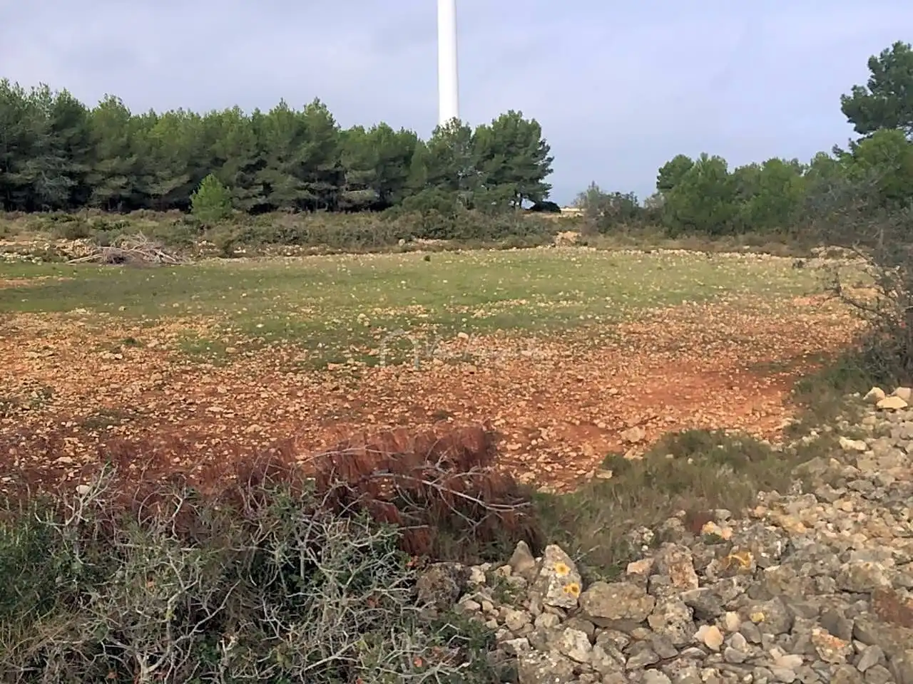 Terreno rustico in vendita a Burga, imagen 15