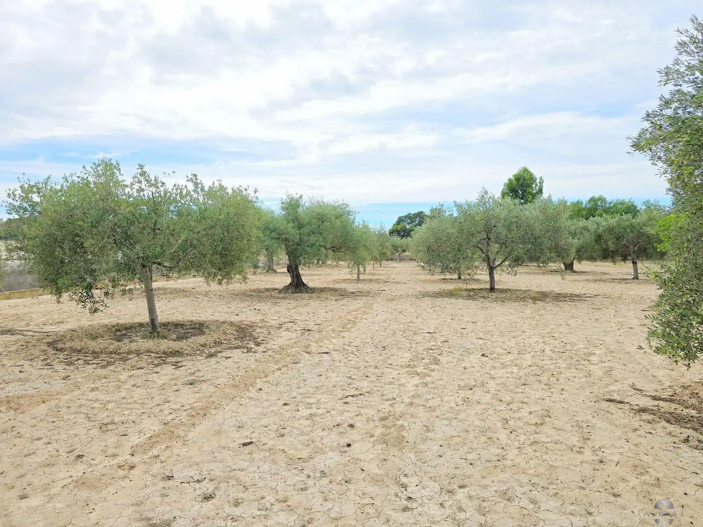 Villa in vendita a Campo Alto - Club de Campo, imagen 19