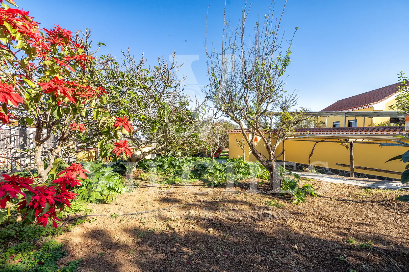 Jardí de Casa o xalet en venda en Santa Brígida amb Jardí privat, Terrassa i Traster