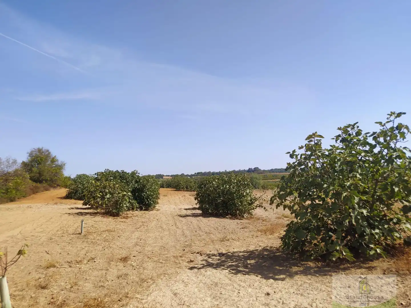 Finca rústica en venda a Villarrasa