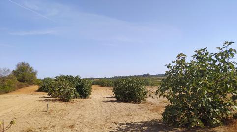 Foto 4 de Residencial en venda a Villarrasa, Huelva