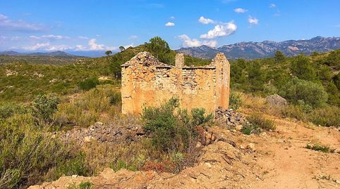 Foto 3 de Finca rústica en venta en Benifallet, Tarragona