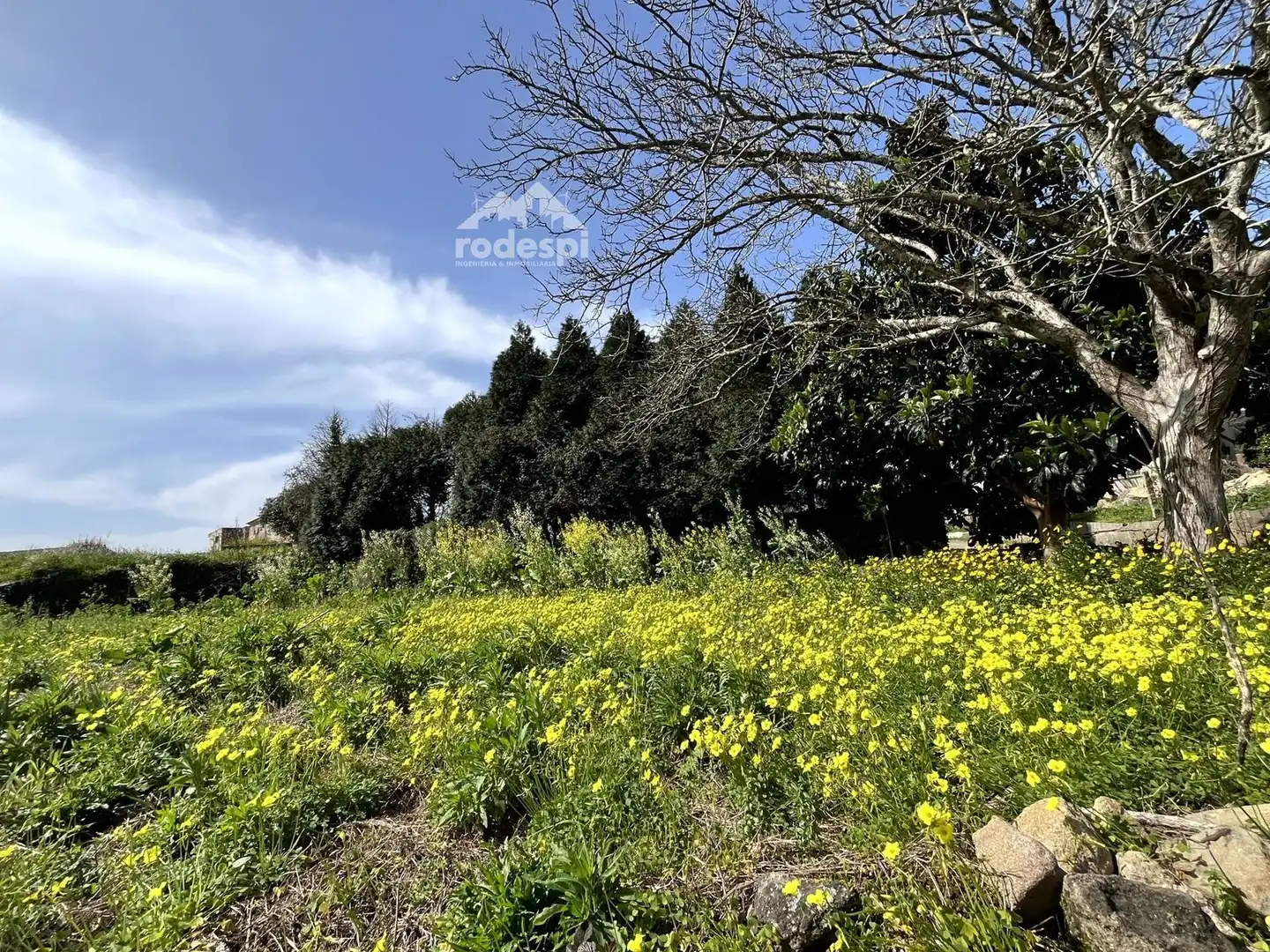 Rural land for sale in Arbo
